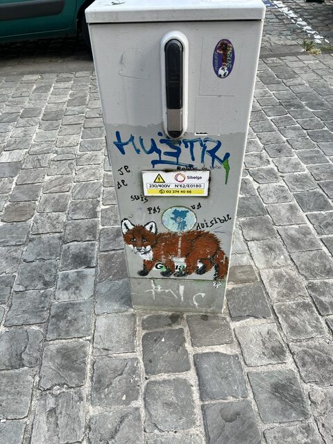 image11.jpeg