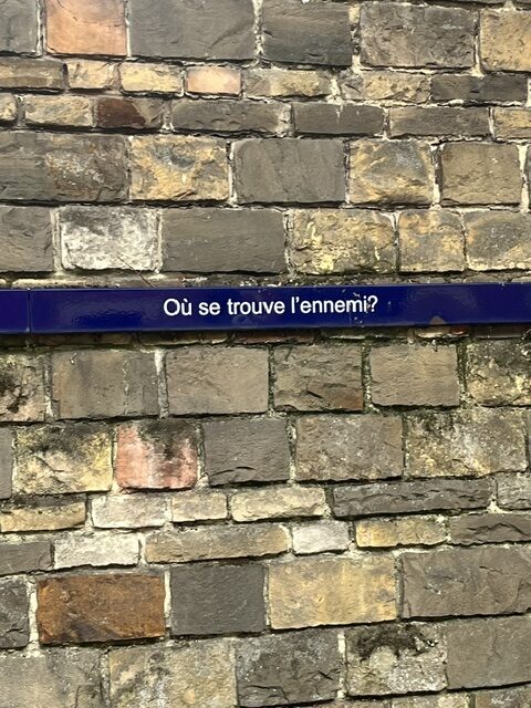 image14.jpeg
