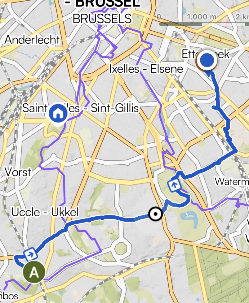 image16.jpeg