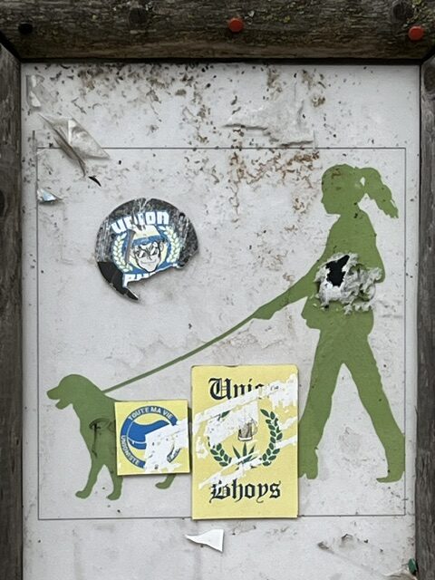 image6.jpeg