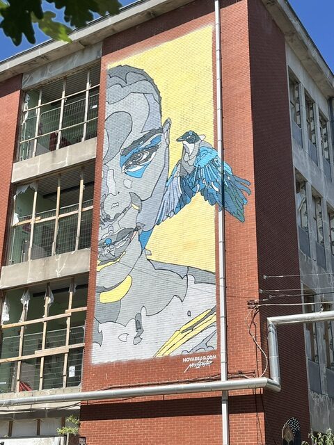 image6.jpeg