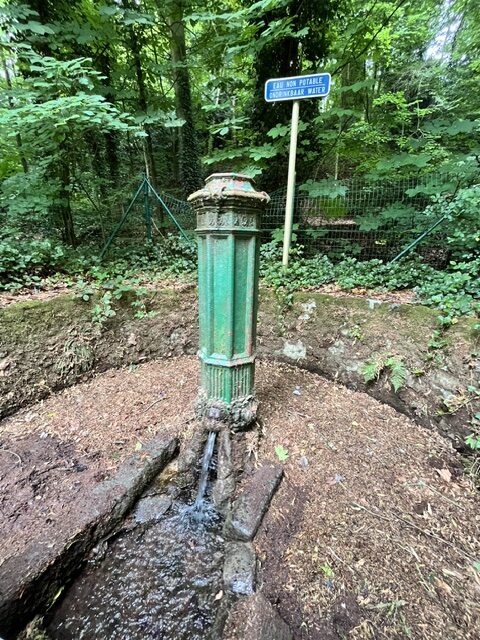 image6.jpeg