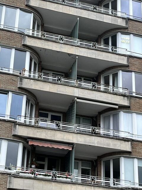image7.jpeg