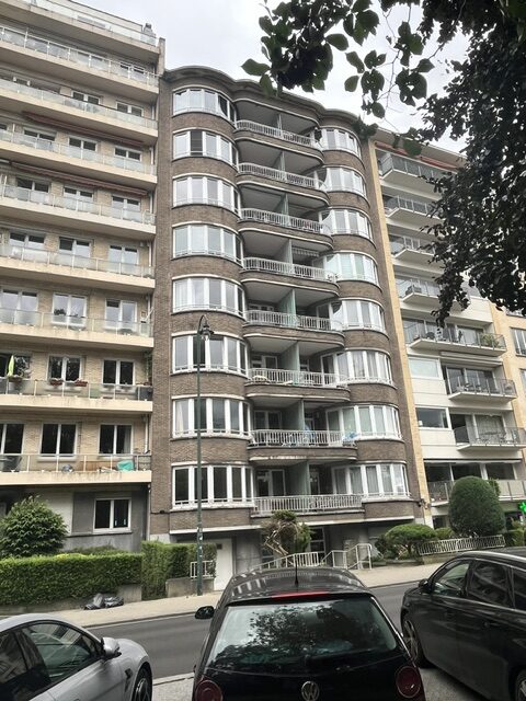 image8.jpeg
