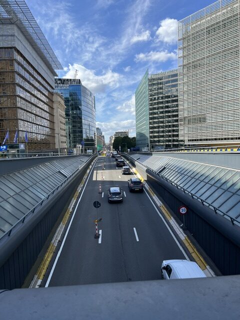 image5.jpeg