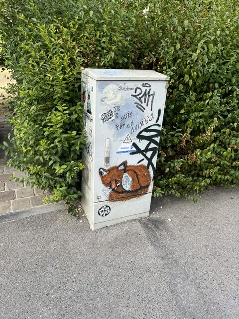 image8.jpeg