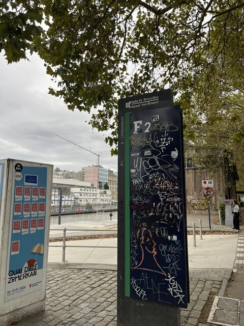 image13.jpeg