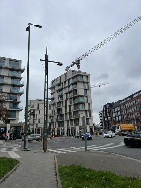 image9.jpeg